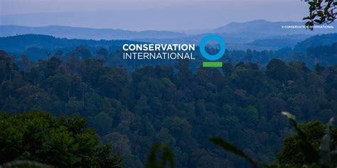 Conservation International Jobs.
